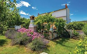 Hause Lupic